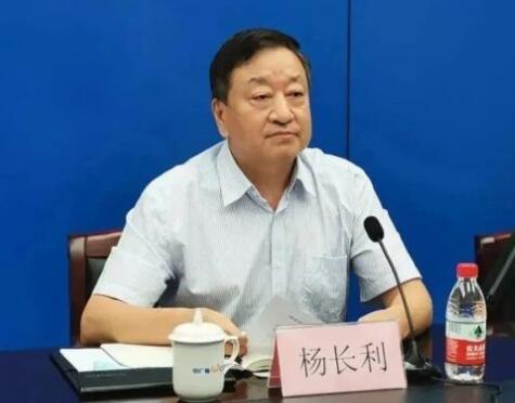 任職總經(jīng)理半年后，楊長利任中廣核董事長
