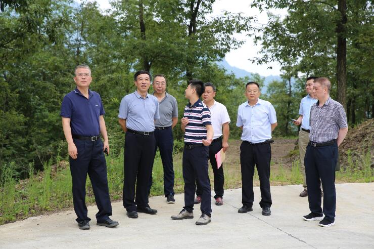 中國能建總經(jīng)理、黨委副書記孫洪水一行赴陜西鎮(zhèn)巴縣調(diào)研定點(diǎn)扶貧工作