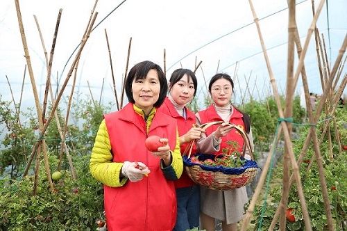 國網(wǎng)寧波市鄞州區(qū)供電公司：人大代表變身主播，“寧波媽媽“帶貨助農(nóng)