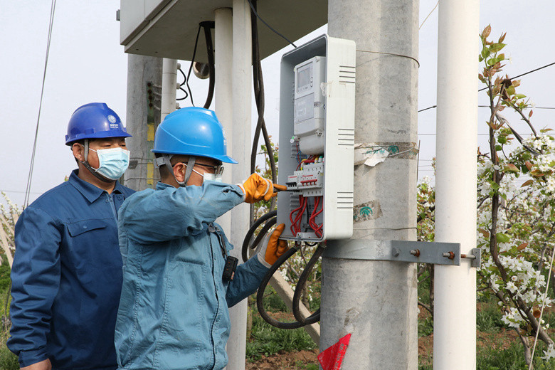 國網(wǎng)諸城市供電公司電力足，千畝梨園花正濃