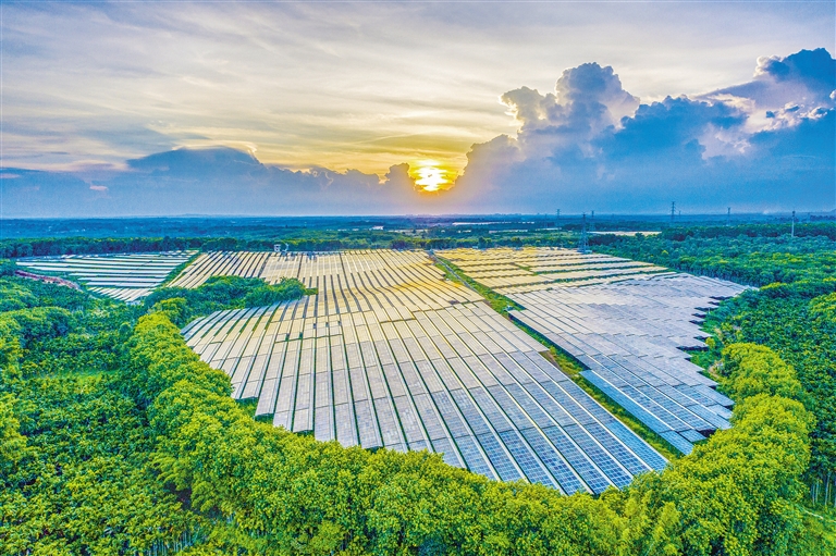 海南電網(wǎng)公司加快構(gòu)建現(xiàn)代供電服務(wù)體系，驅(qū)動(dòng)鄉(xiāng)村振興電力引擎