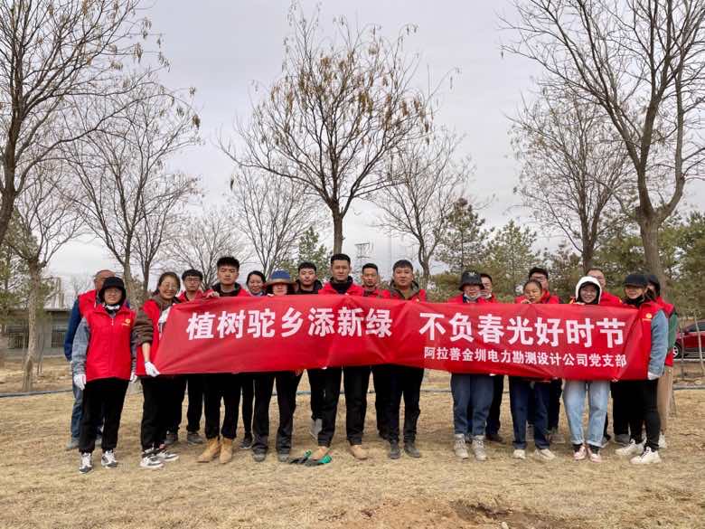 阿拉善金圳電力設計公司：植樹駝鄉(xiāng)添新綠 不負春光好時節(jié)
