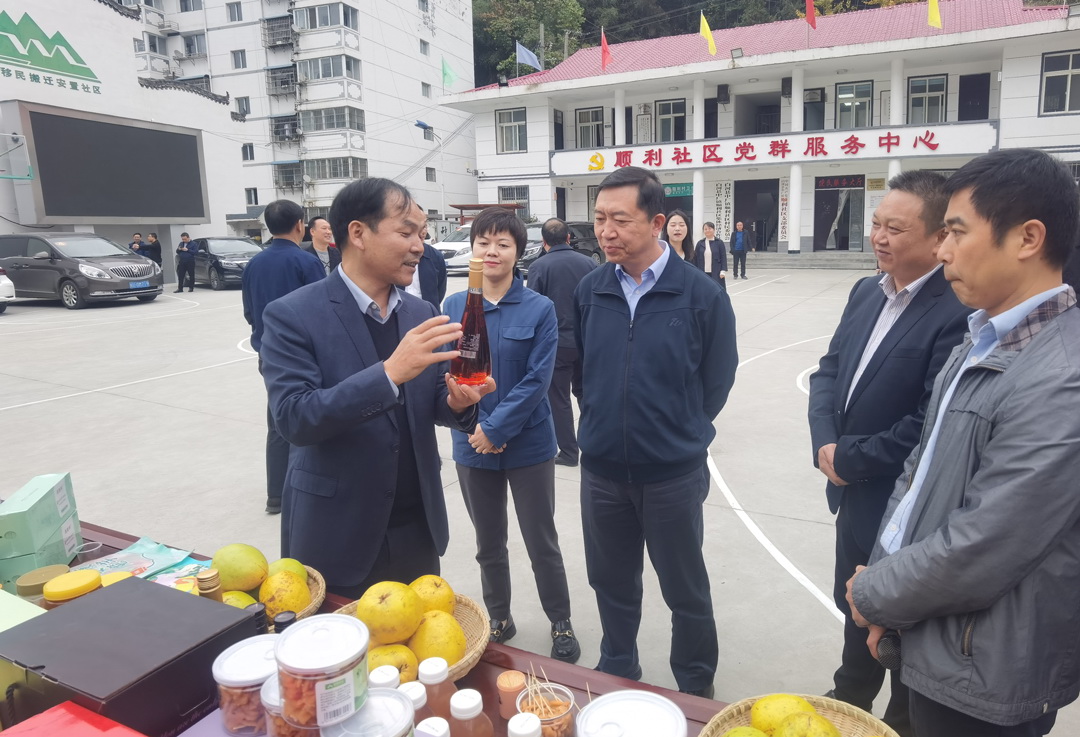 中核集團(tuán)總經(jīng)理、黨組副書記顧軍赴陜西白河、旬陽(yáng)調(diào)研鄉(xiāng)村振興工作